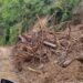 Deslizamiento de tierra en el viaducto de la Farola, por lluvias posteriores al huracán Oscar. Foto: Naturaleza Secreta / Perfil de Facebook de Eduardo Rodríguez Dávila.