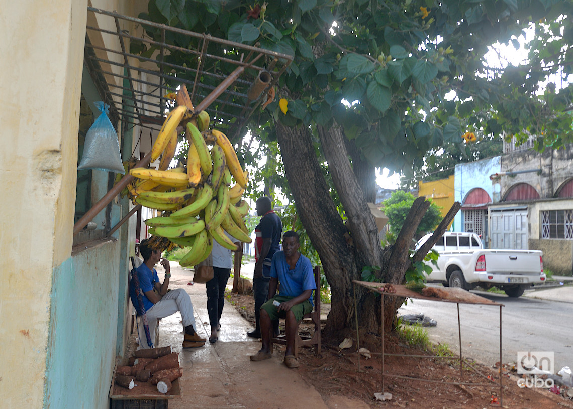 Mercado agropecuario en la Calzada de Bejucal. Foto: Otmaro Rodríguez.