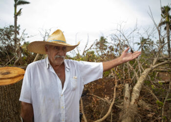 Guillermo Hechavarría habla sobre los cultivos que no pudo salvar del huracán Rafael. Foto: Yander Zamora/EFE.