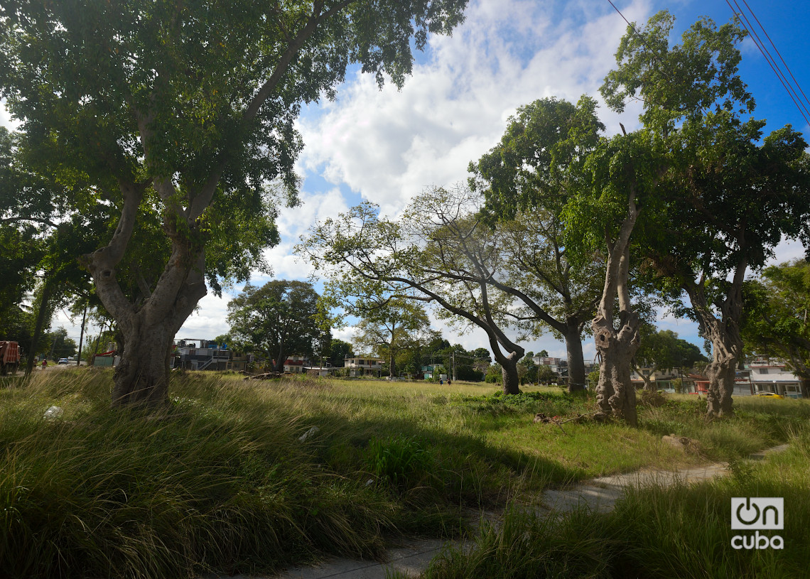 Parque de los Chivos, reparto Poey, Arroyo Naranjo, La Habana. Foto: Otmaro Rodríguez.