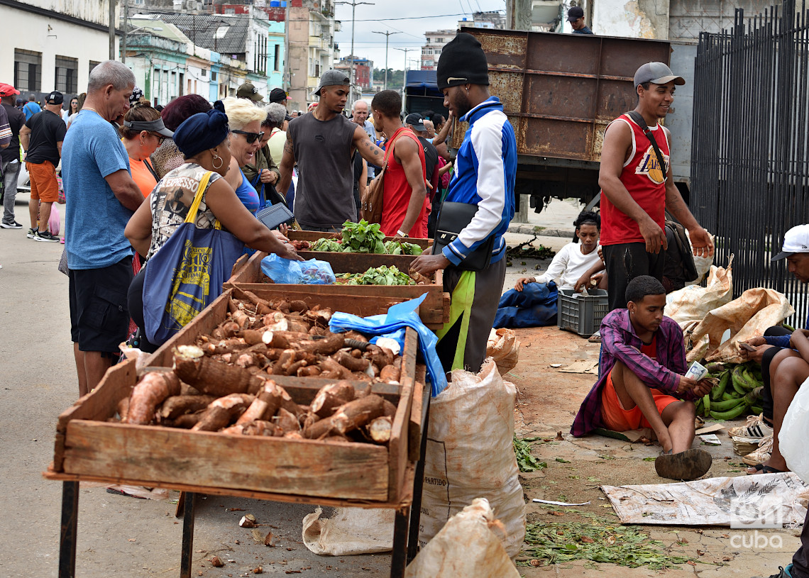 Feria en La Habana, el último fin de semana de 2024. Foto: Otmaro Rodríguez.