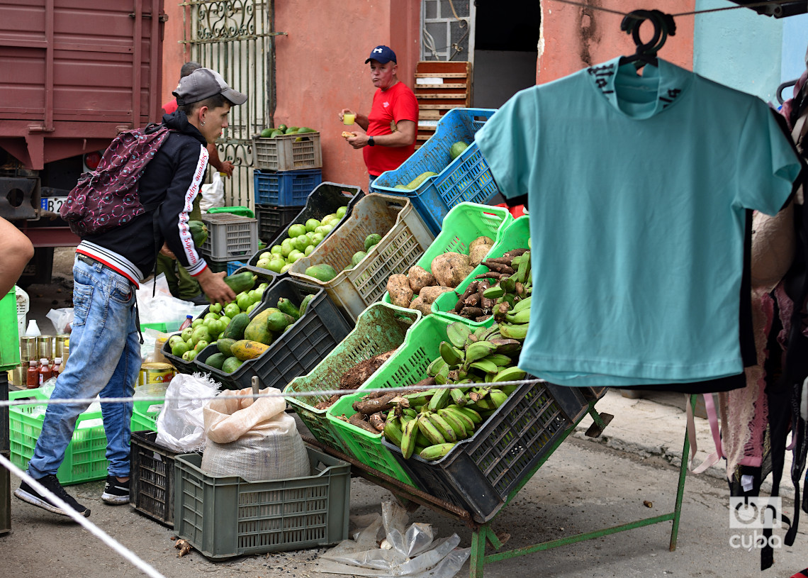 Feria en La Habana, el último fin de semana de 2024. Foto: Otmaro Rodríguez.