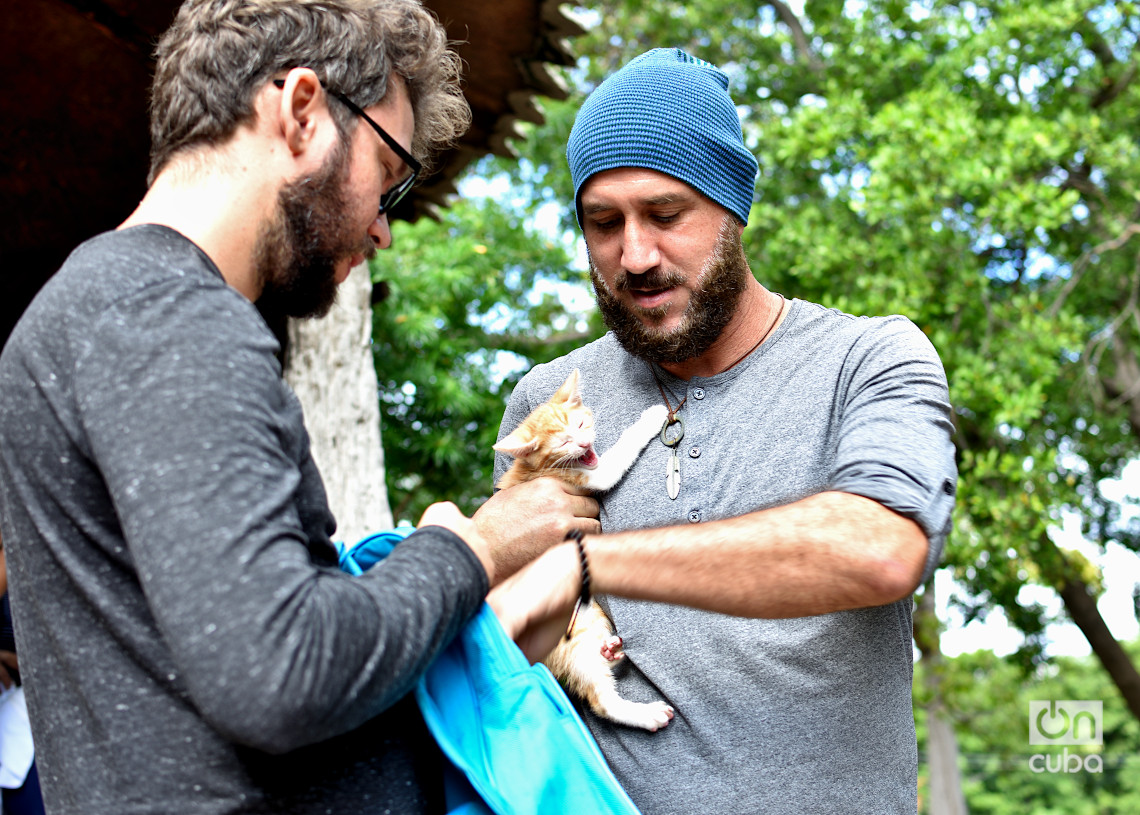 Feria de adopciones e higienización organizada por el grupo Bienestar Animal Cuba (BAC) en el parque de H y 21, en La Habana. Foto: Otmaro Rodríguez.