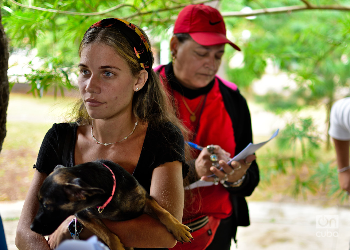 Feria de adopciones e higienización organizada por el grupo Bienestar Animal Cuba (BAC) en el parque de H y 21, en La Habana. Foto: Otmaro Rodríguez.