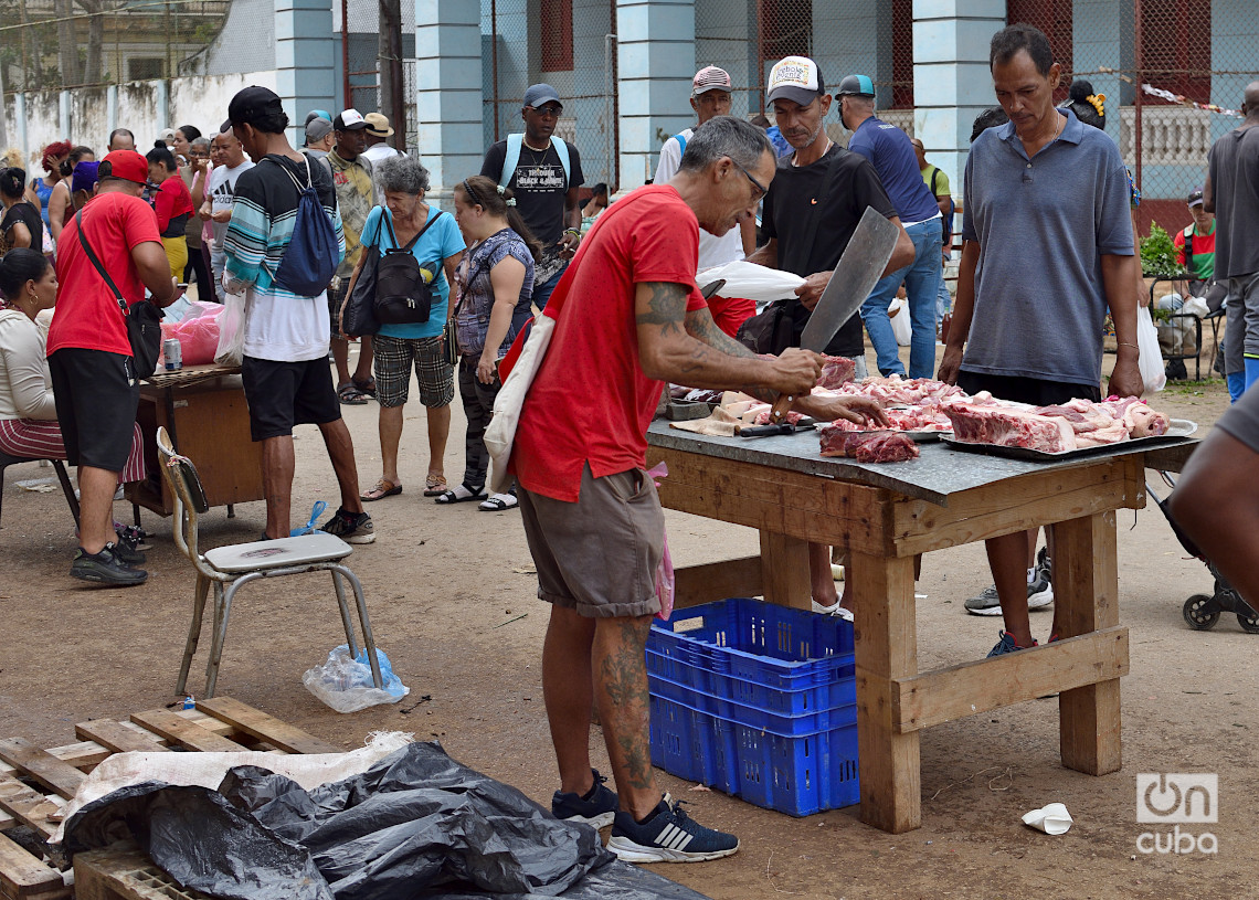 Feria en La Habana, el último fin de semana de 2024. Foto: Otmaro Rodríguez.