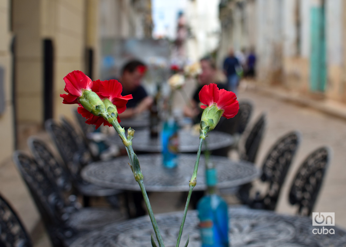 Flores como decoración de un negocio privado en La Habana durante la temporada navideña de 2024. Foto: Otmaro Rodríguez.