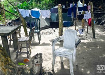 Bien podría ser la imagen de cualquiera de nuestros patios. Foto: Kaloian.