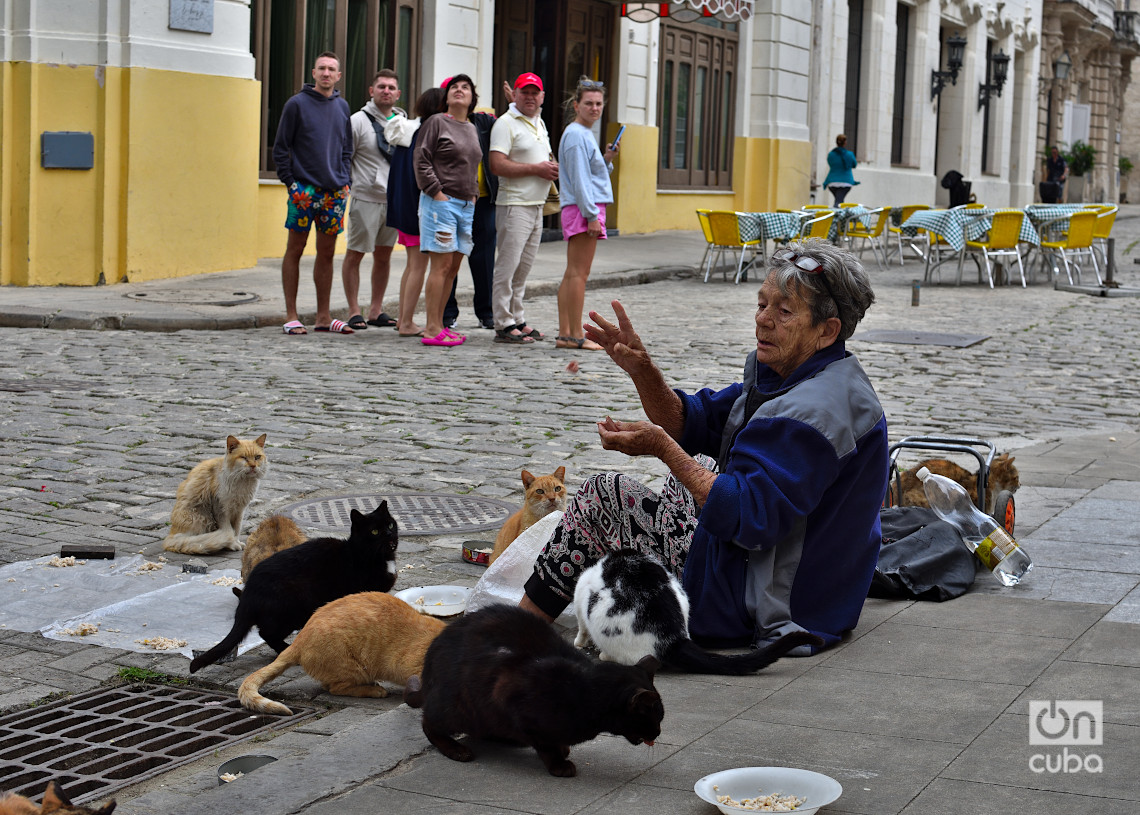 Una mujer alimenta gatos en la calle O'Reilly, en el centro histórico de La Habana, en los primeros días de 2025. Foto: Otmaro Rodríguez.