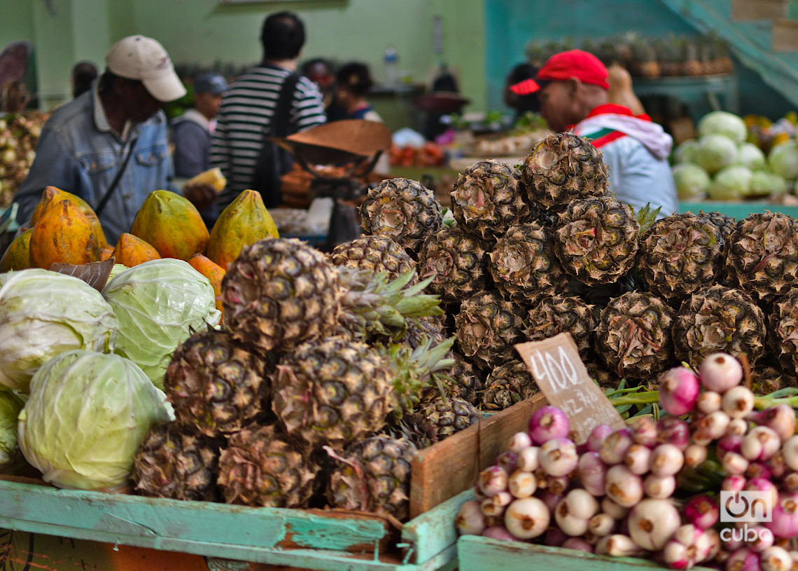 Mercado agropecuario en el centro histórico de La Habana, en los primeros días de 2025. Foto: Otmaro Rodríguez.