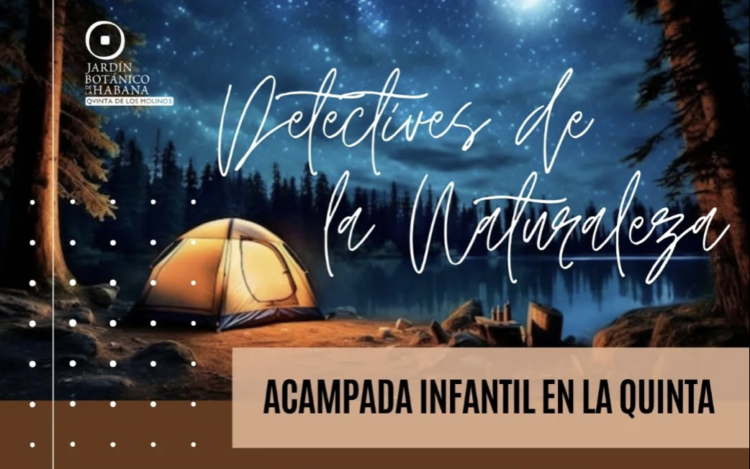 acampada en la quinta