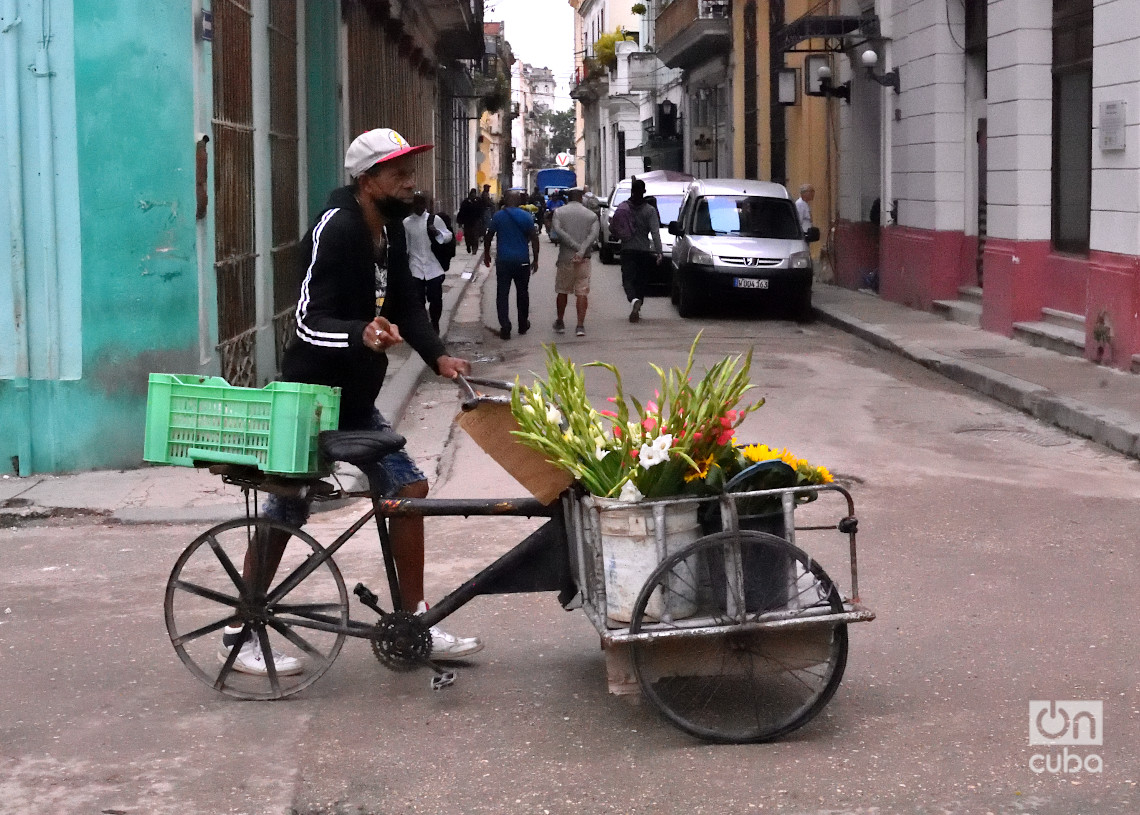 Vendedor de flores durante un frente frío en La Habana. Foto: Otmaro Rodríguez.