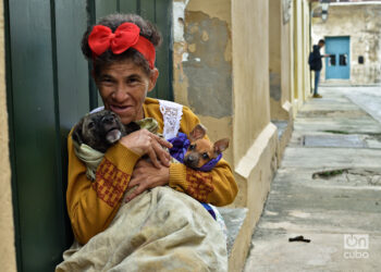 Una mujer resguarda a sus mascotas durante un frente frío en La Habana. Foto: Otmaro Rodríguez.