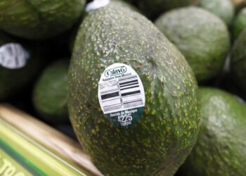 Aguacates de México en una tienda de comestibles en Palm Springs, California. Foto: John G Mabanglo/EFE.