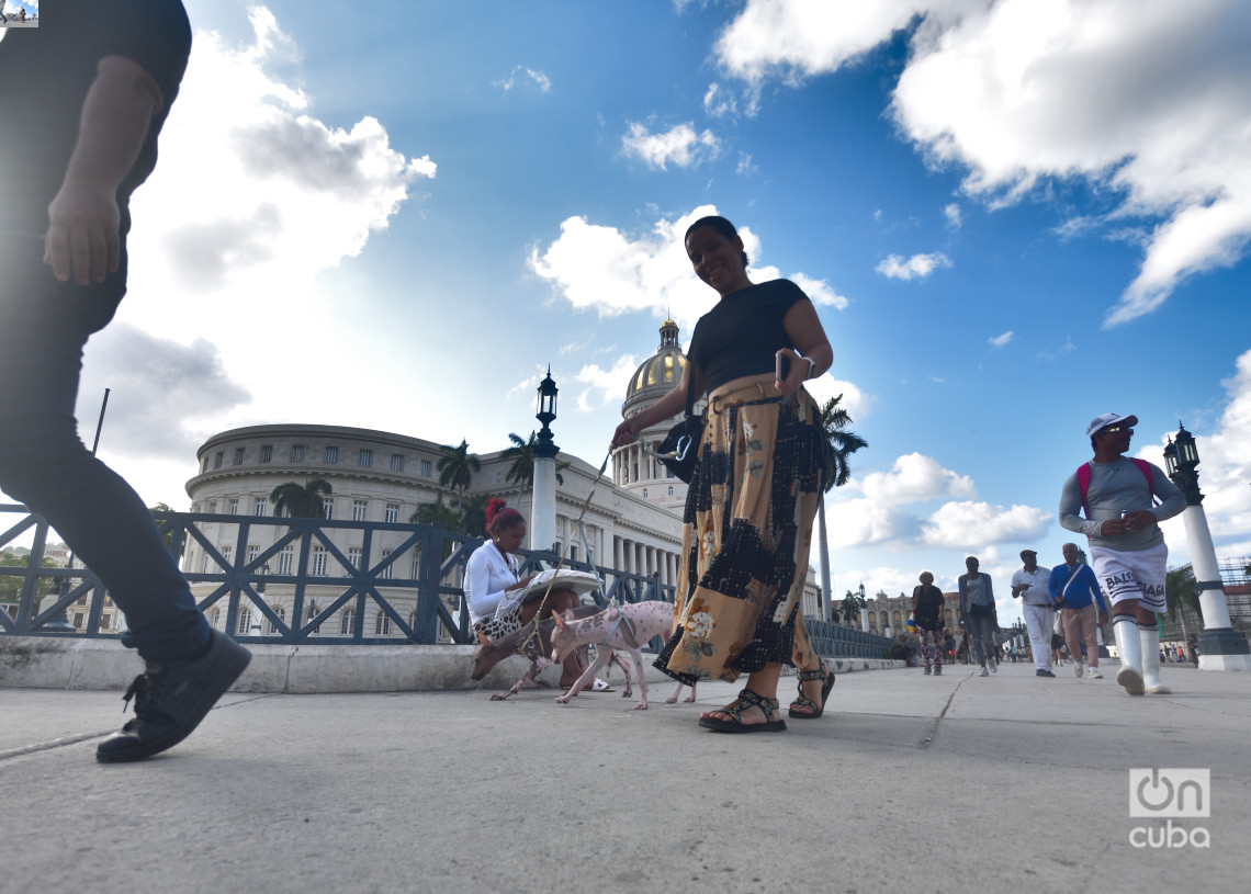 Una mujer camina con sus perros cerca del Capitolio de La Habana. Foto: Otmaro Rodríguez.