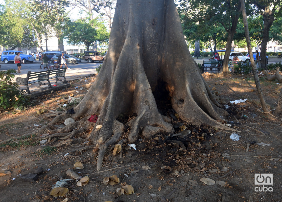 Suciedad y destrucción en el Parque Fraternidad de La Habana. Foto: Otmaro Rodríguez.