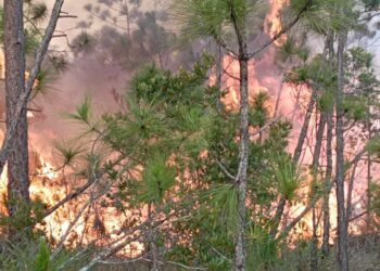 Uno de los incendios forestales en Pinar del Río. Foto: Facebook/William Hernández.